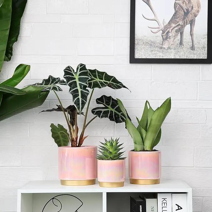 Gepege Pink Indoor Plant Pots for Plants, Ceramic Planter with Drainage Hole, 6.0 inch+5.0 Inch+4.0 Inch. Succulent Orchid Flower Pot - Rainbow Pearl Glaze by GreenHaven Gardens