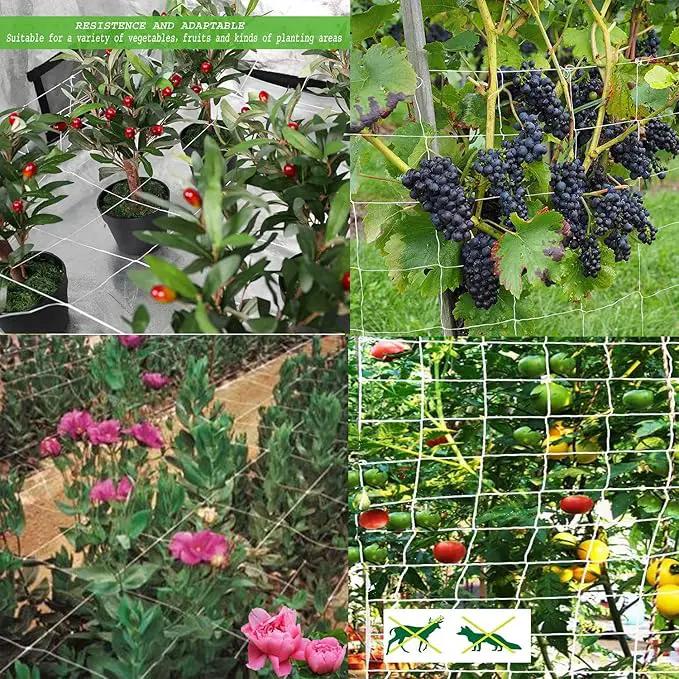 All-Weather Trellis Netting Mesh Plant Garden Vine Growing Flexible String Net by GreenHaven Gardens