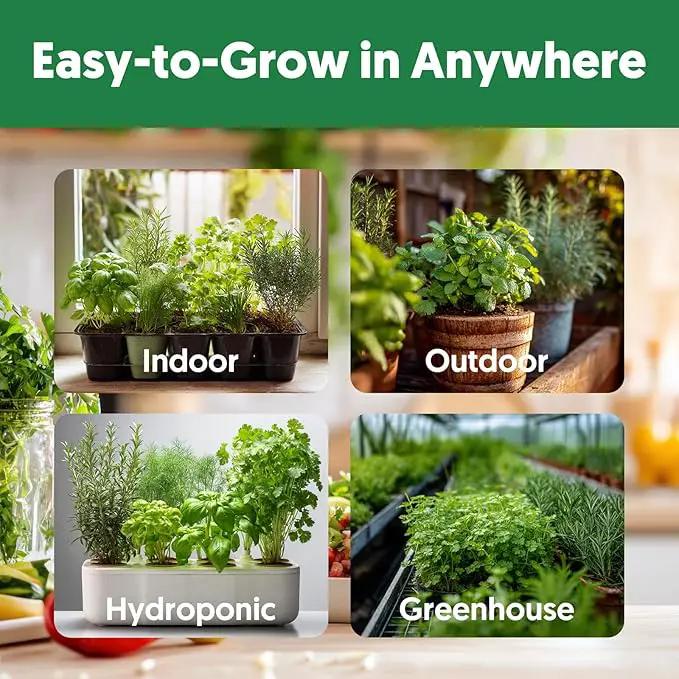 12 Varieties of Seasoning Seeds for Planting, Family Culinary Spice Herb & Veggie Seeds Packet, Basil, Rosemary, Thyme, Cilantro, Pepper, Mint, Non-GMO, Heirloom, for Home Garden Indoor Outdoor by GreenHaven Gardens