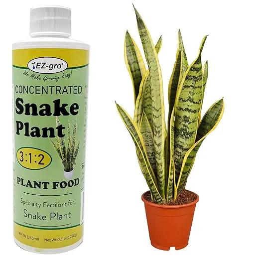 EZ-GRO Professional Liquid Snake Plant Fertilizer - 8 oz | 3:1:2 Concentrated Nutrient for Indoor Plant Food, Liquid Fertilizers for Houseplants | Houseplant Fertilizer to Boost Root Health by GreenHaven Gardens