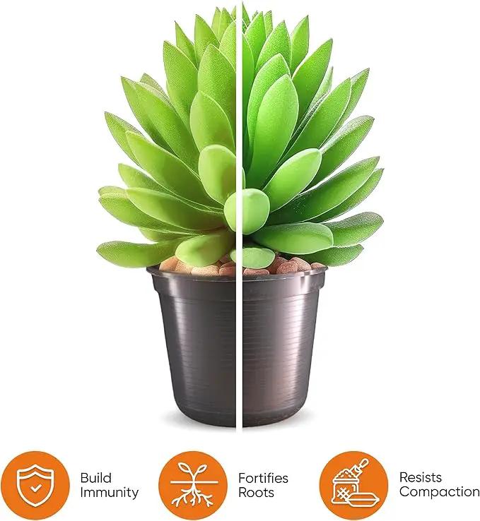 Molly's Succulent Mix - Premium Gritty Soilless Potting Mix for Succulents, Cactus and Bonsai - Contains Akadama, Hyuga, Bark Fines, Pumice, Lava Rock, Mycorrhizae 5 Dry Quarts by GreenHaven Gardens