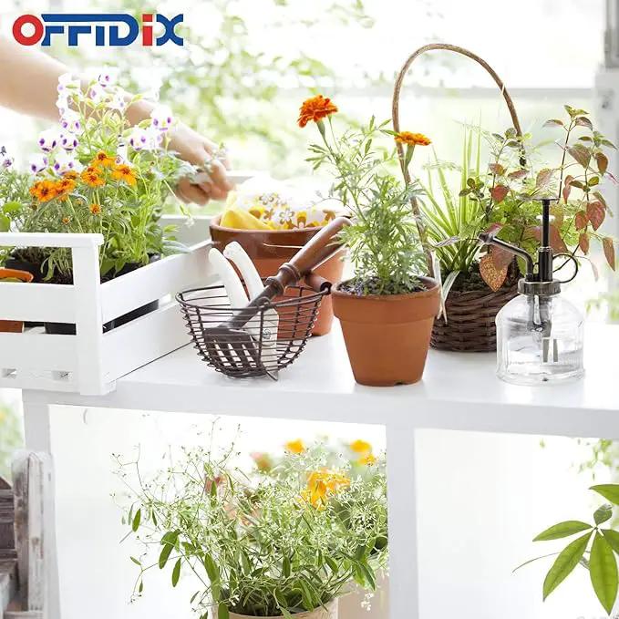OFFIDIX Transparent Glass Watering Spray Bottle,Plant Mister with Plastic Bronze Plastic Top Pump, Glass Small Watering Can for Indoor Potted Plant, Outdoor Indoor Garden, Plants, Cleaning Solutions by GreenHaven Gardens