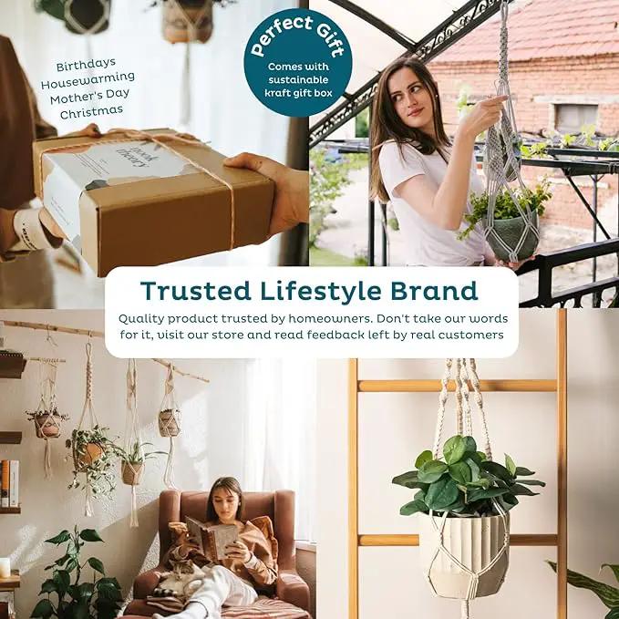Nook Theory 6-Pack Macrame Plant Hanger - 12 Ceiling Hooks - Plant Hanger Indoor - Hanging Plant Holder - Hanging Planters for Indoor Plants - Boho Plant Hanger - Plant Hangers Indoor (Cream) by GreenHaven Gardens