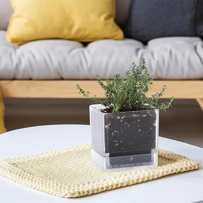 4 Inch Herb Planter Pot, Plastic Planter with Drainage Holes and Saucer, Modern Decorative Gardening Pot for Indoor Plants, Flowers, Herbs, Succulents, Clear, Set of 2, 76-Y-D-2 by GreenHaven Gardens