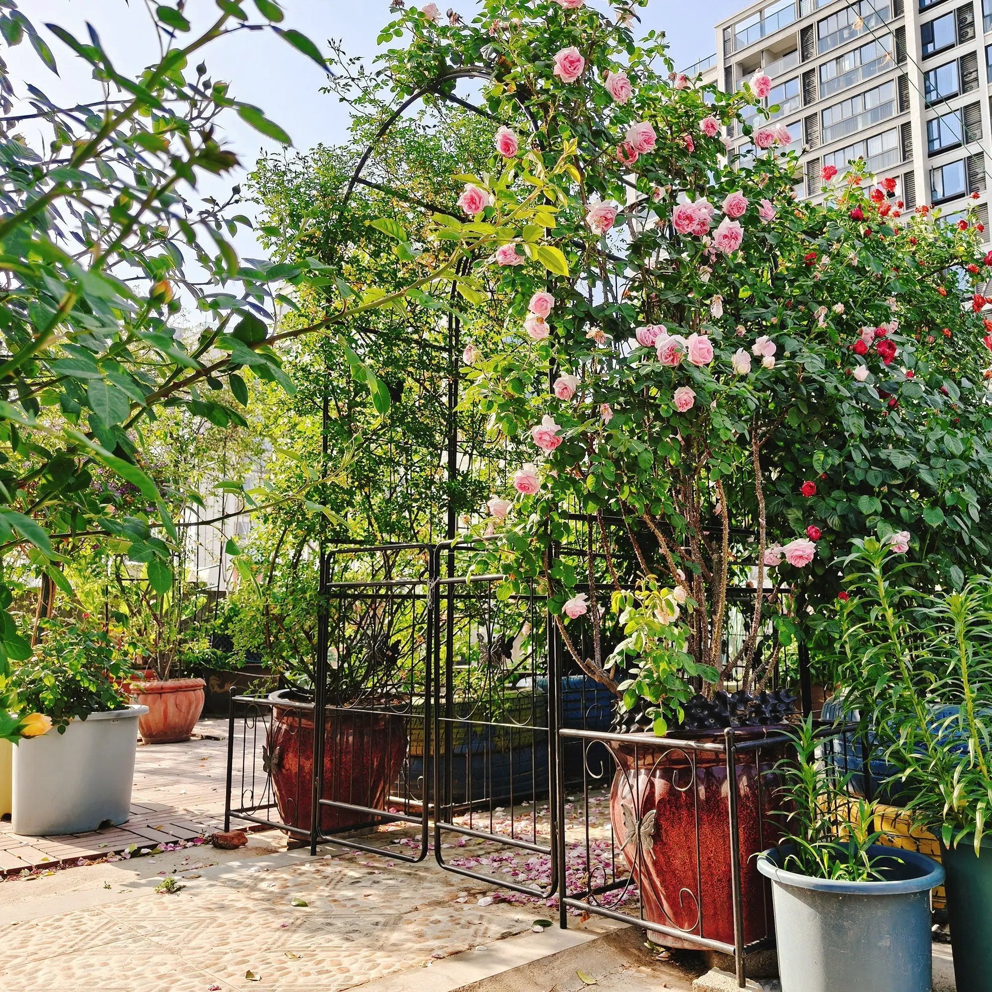 Metal Garden Arch With Gate High Climbing Plants Support Rose Arch Outdoor - Black by Unique Piece Furniture