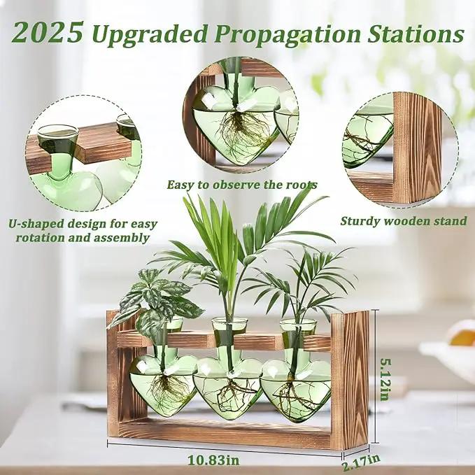 Lifecapido Heart Shaped Propagation Stations, Plant Terrarium with Wooden Stand, Plant Propagation Station for Hydroponics Office Garden Home Decor, Gifts for Women Plant Lover (3 Vases, Mint Green) by GreenHaven Gardens