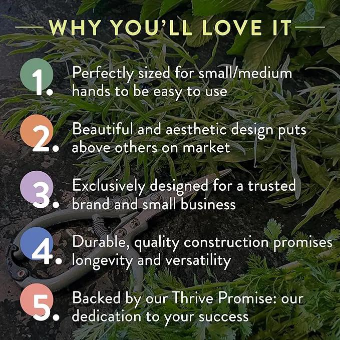 Modern Sprout Hand Pruners & Shears Set - Lightweight Gardening Tools W/Easy Lock - Sharp Carbon Steel Blades -Rust Resistant Scissors for Herbs, Flowers - Reusable Holster - Lavender by GreenHaven Gardens