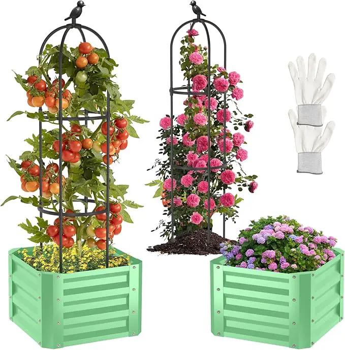 1Pack Raised Garden Beds Outdoor, Galvanized Metal Raised Garden Bed with Trellis, 16x16x60inch Tomato Cage Planters Box with Trellis for Climbing Plants Vegetable Vine Flowers by GreenHaven Gardens