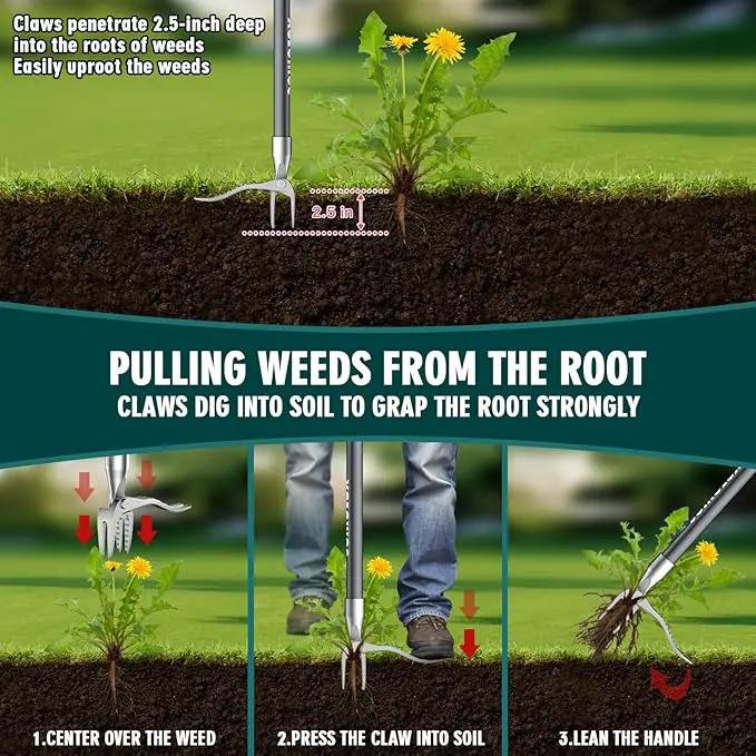 SOMOLUX 52'' Weed Puller Tool Stand-up Weeder with Metal Long Handle/Stainless Steel Claw, Gardening Manual Tool Weed Gripper/Picker/Remover No Bending/Kneeling to Remove Dandelion Form Lawn Patio by GreenHaven Gardens