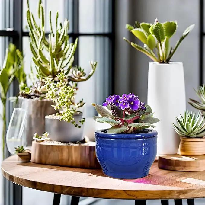 African Violet Pots Self Watering Round Ceramic Violet Pot (Blue, 6 inch) by GreenHaven Gardens