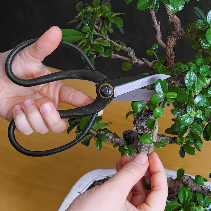 Professional Bonsai Butterfly Scissors | Pruning Shears for Trimming Plants | Japanese Gardening, Bonsai Tools | Garden Scissors by GreenHaven Gardens