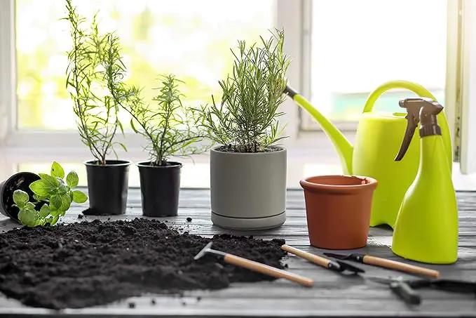 D'vine Dev 4.6 Inch & 6 Inch Ceramic Planter Pots for Plants with Drainage Hole and Saucer, Small Plant Pots Set, Speckled Grey, 94-G-S-3 by GreenHaven Gardens
