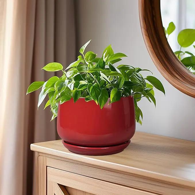 G EPGardening Ceramic Pot for Plants - 6 Inch Plant Pot with Drainage and Ceramic Tray, Modern Living Room Decor, Planter for Housewarming Gifts New Home, Red by GreenHaven Gardens