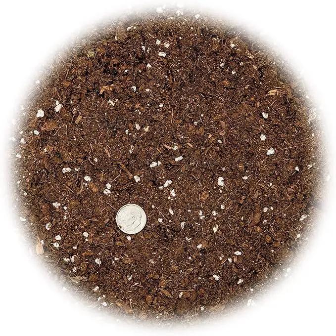 Citrus Tree Potting Soil Mix, Special Blend for Indoor Oranges, Lemons, Limes and More - (3 Quart Bag) by GreenHaven Gardens