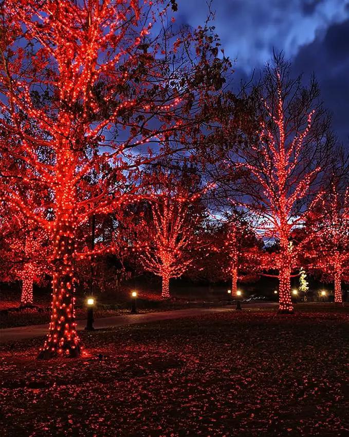 Twinkle Star 4 Pack Outdoor Solar String Lights, Total 160 FT 480 LED Solar Powered Valentines Day Decorative Fairy Lights with 8 Modes, Waterproof Silver Wire Light for Christmas Wedding Party, Red by GreenHaven Gardens