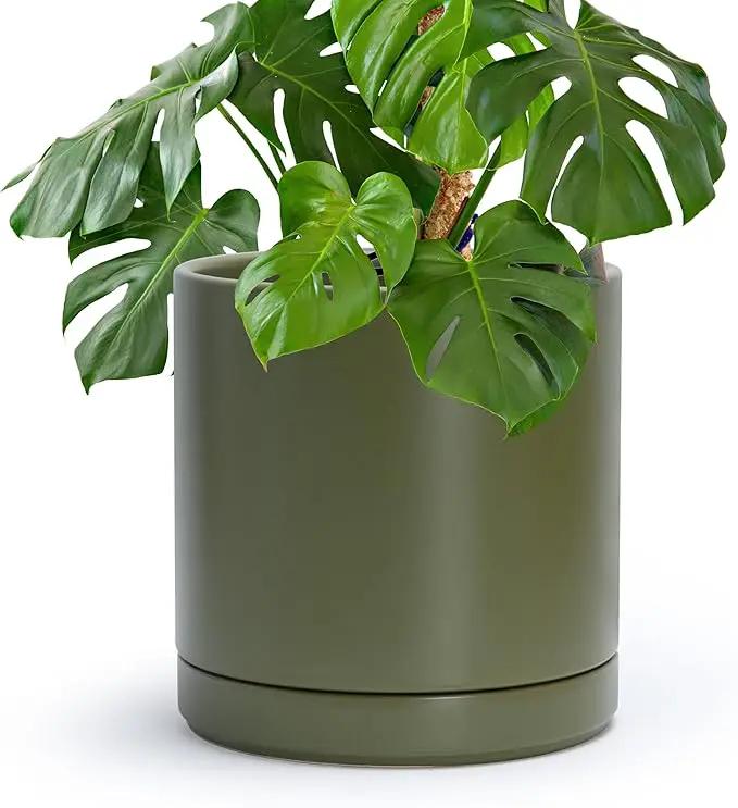 D'vine Dev 10 Inch Ceramic Planter Pot with Drainage Hole and Saucer, Indoor Cylinder Round Planter Pot, Olive, 94-O-E-J by GreenHaven Gardens