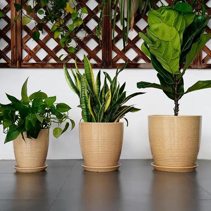 Ceramic Pot for Plants - 10 Inch Plant Pot with Drainage Hole and Saucer Outdoor Planter for Indoor Plants Round Flower Pot for Home Patio Garden Office Yellow by GreenHaven Gardens
