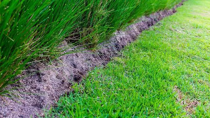 Brownie Brand Majestic Hulled Bermudagrass Seed | Premium Turf Grass for Dense, Drought-Resistant Lawns | Fast-Growing, Heat-Tolerant, Certified Seed for High-Traffic Areas. (1 Pound) by GreenHaven Gardens