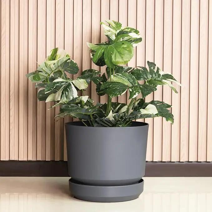 Elly Décor 12 inch Plastic Cylinder Planter Pot with Self-Watering Saucer and Drainage Hole,Lightweight & Extremely Durable, 12"x 12", Gray by GreenHaven Gardens