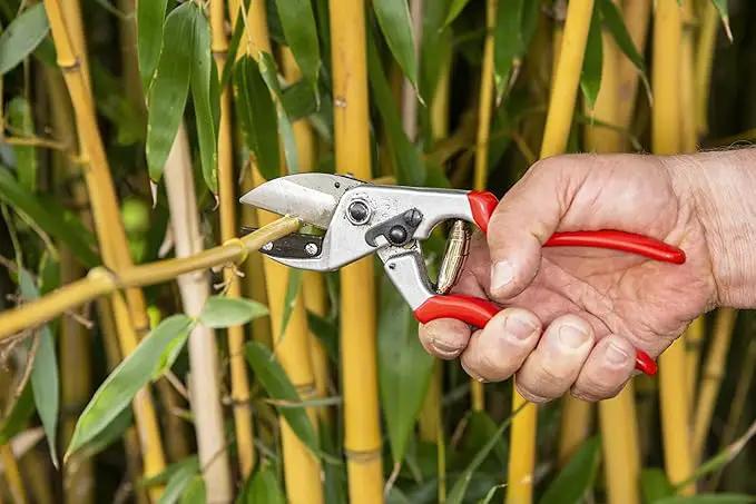 FELCO F31 Pruning Shears – 8.3" Swiss-Made Garden Clippers with Anvil Blade for Dry/Hard Wood | Hand Pruner for Gardening | Garden Tool Cutter with Aluminum Handle, Carbon Steel Blade, High-Torque Cut by GreenHaven Gardens