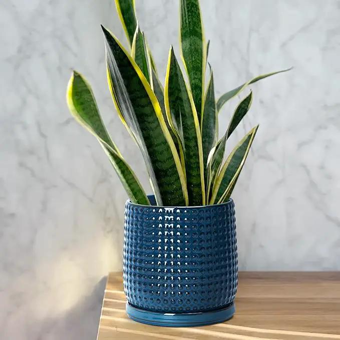 D'vine Dev Set of 2 Ceramic Plants Pots, 6 Inch Beaded Stoneware Flower Pot for Plants with Drainage Hole and Saucer, Midnight Blue, 27-E-X-3 by GreenHaven Gardens