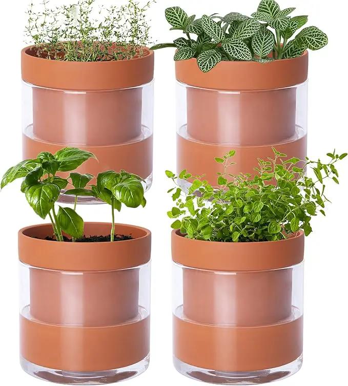 Phoenix Vine 4 Inch Self Watering Planter Pot, Terracotta Clay Pot with Glass Reservoir for Indoor Plants, Herbs, Flowers, Set of 4, 52-A-E-4 by GreenHaven Gardens