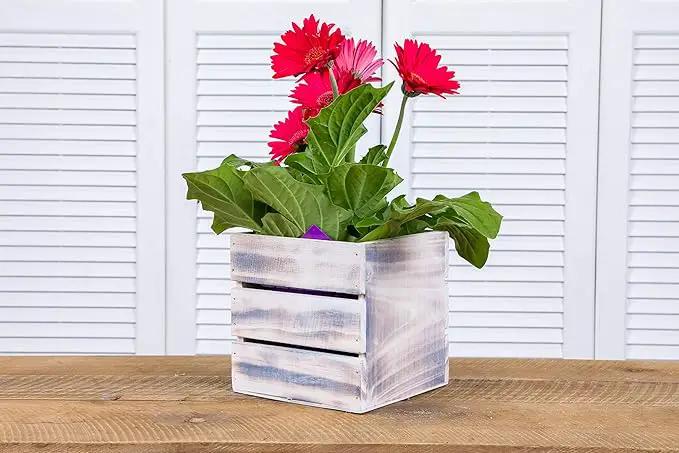 Wood Planter Box with Wine Crate Styled, 5 Inch Square, Whitewash, Plastic Liner, Garden Centerpiece Display, Wedding Flowers Holder, Home and Venue Decor (5x5 Wine Crate Set of 4, Whitewash) by GreenHaven Gardens