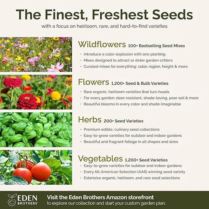 Eden Brothers Orange Sherbet Flower Mixed Seeds for Planting, 5 lb, 2,400,000+ Seeds with Cosmos Picotee, Bright Lights | Attracts Pollinators, Plant in Spring or Fall, Zones 3, 4, 5, 6, 7, 8, 9, 10 by GreenHaven Gardens