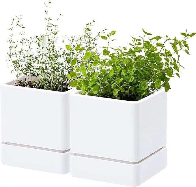 4 Inch Herb Planter Pot, Plastic Planter with Drainage Holes and Saucer, Modern Decorative Gardening Pot for Indoor Plants, Flowers, Herbs, Succulents, White, Set of 2, 76-Y-A-2 by GreenHaven Gardens