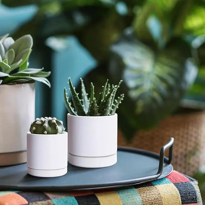 D'vine Dev 3.5 Inch & 4.7 Inch Ceramic Planter Pots for Plants with Drainage Hole and Saucer, X-Small Plant Pots Set, White, 94-G-XS-1 by GreenHaven Gardens