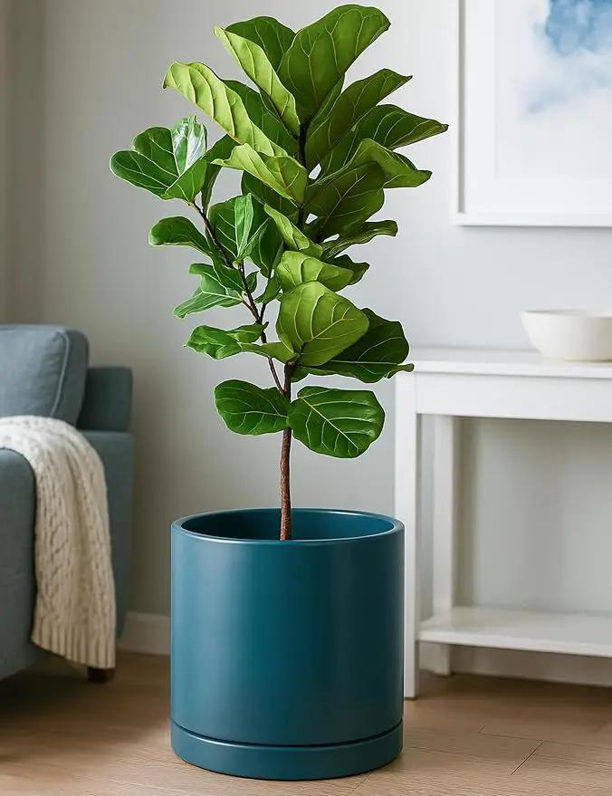 D'vine Dev 12 Inch Ceramic Planter Pot with Drainage Hole and Saucer, Indoor Cylinder Round Planter Pot, Teal, 94-O-F-9 by GreenHaven Gardens