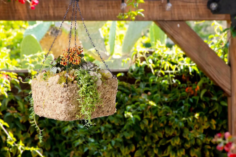 SuperMoss (29249D MossWeave Hanging Basket | Outdoor Hanging Planter with Moss | Decorative Plant Hanger for Porch, Balcony, Garden & Home Décor, Square, Small 10.5” D, Blond by GreenHaven Gardens