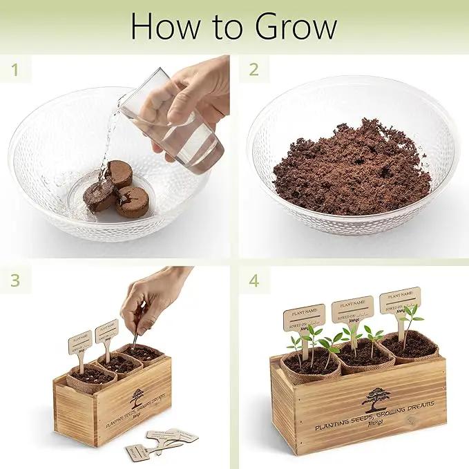 Bonsai Tree Kit – 3X Unique Japanese Bonzai Trees | Complete Indoor Starter Kit for Growing Bonsai Plants with Tools & Planters – Gardening Gifts for Women & Men by GreenHaven Gardens