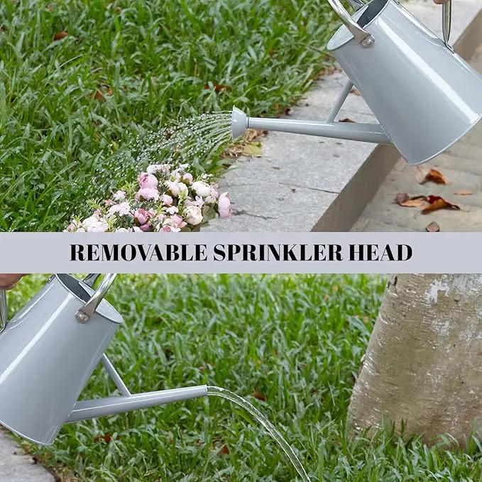 1.5 Gallon Watering Can for Outdoor Plants,Large Metal Plant Watering Pot with Removable Spout,Flower Garden Water Can Watering Pot,Galvanized Steel Watering Can with Stainless Steel Handles，Grey by GreenHaven Gardens