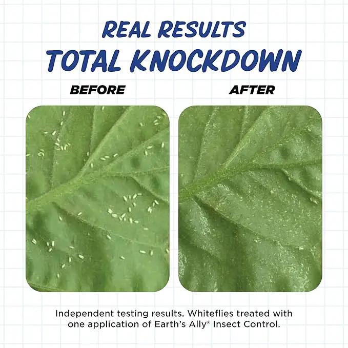 Earth's Ally Insect Control Concentrate for Plants 32 oz | Safe Outdoor & Indoor Plant Insecticide, Spider Mite, Aphid & Mealybug Killer - for Organic Garden & Household Plants by GreenHaven Gardens