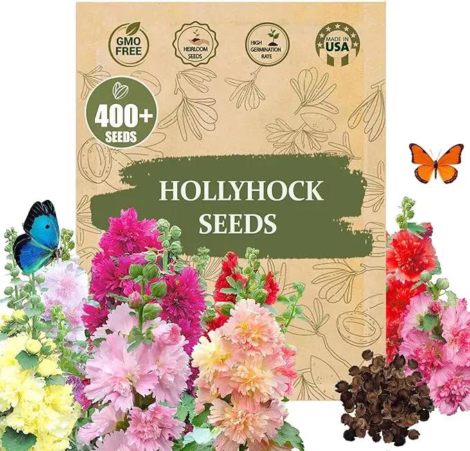 Premium Rare Hollyhock Seeds – 400+ Queeny Dwarf Hollyhock Flower Seeds – Non-GMO, Heirloom Perennial – Showy Blooms for Outdoor Planting (Queeny Hollyhock) by GreenHaven Gardens