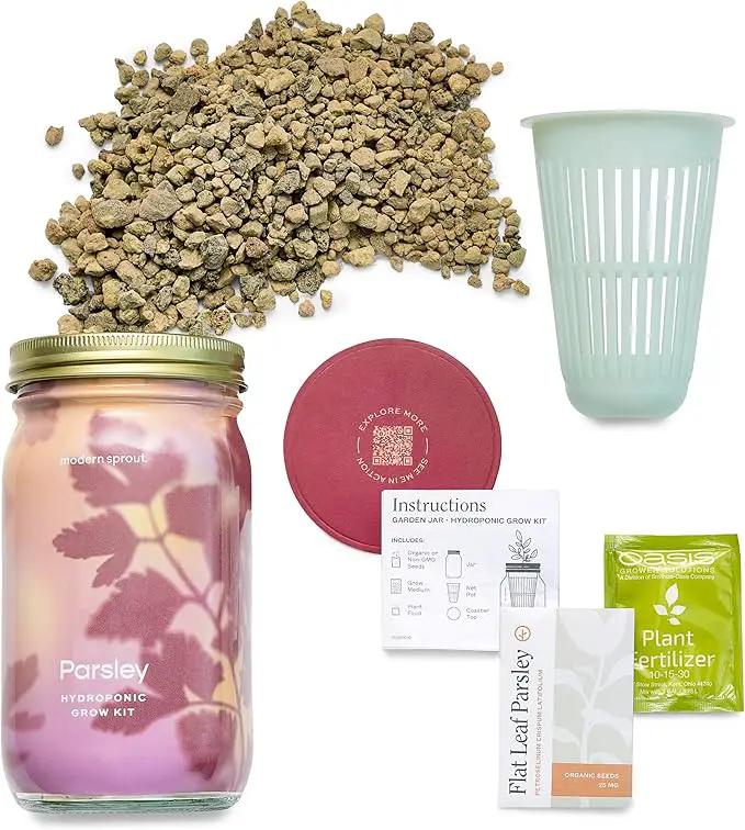 Modern Sprout Mason Garden Jar - Self-Watering Hydroponics Growing System Kit with Organic Herb Seeds - Jar Planter for Indoor Herb Garden - Seed Starter Kit - Home Decor & Gifting - Parsley by GreenHaven Gardens