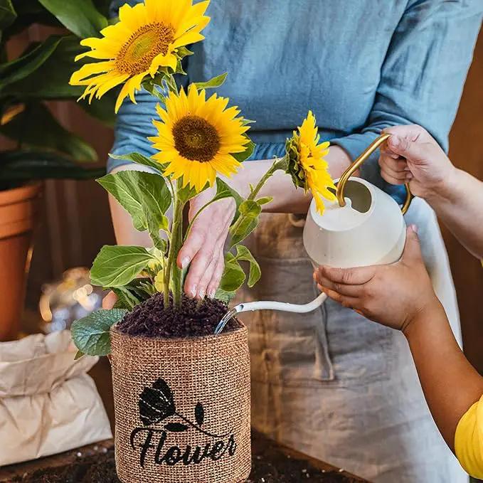 Indoor Daisy Garden Starter Kit, 4 Flower Seeds Growing into Shasta Daisy, Cornflower, Sunflower, Zinnia, Including Complete Gardening Tools, Christmas Gifts for Women Men & Beginners by GreenHaven Gardens