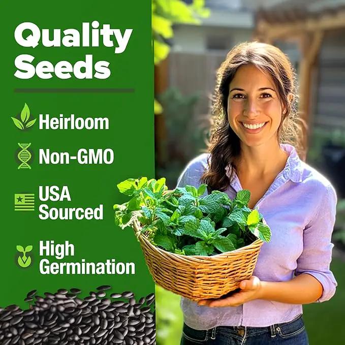 HOME GROWN Peppermint Seeds 2 Pack (Mentha × piperita) – 4,740 Heirloom Mint Seeds for Planting – 𝗡𝗢𝗡-𝗚𝗠𝗢, 𝗨𝗦𝗔-𝗦𝗢𝗨𝗥𝗖𝗘𝗗 – Grow Indoors or Outdoors, Kitchen Herb Garden Favorite by GreenHaven Gardens
