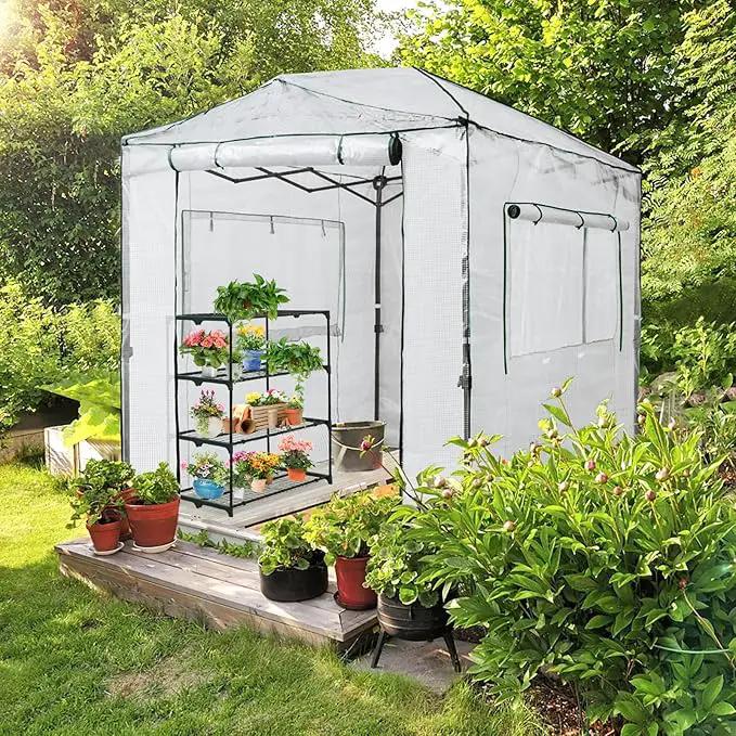 EAGLE PEAK 8x6 Portable Walk-in Greenhouse, Pop-up Indoor Outdoor Garden Green House, Zippered Doors and Windows, PE Cover, White by GreenHaven Gardens