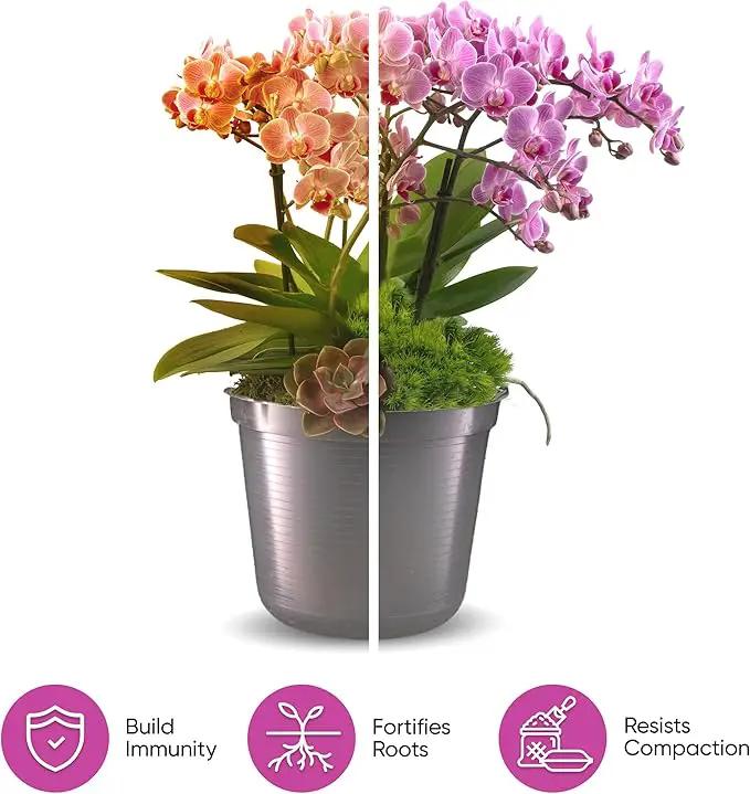 Molly's Orchid Mix - Premium Soilless Potting Mix for Orchids - Contains Bark, Coco Chips, Akadama, Pumice, Lava Rock 3 Dry Quarts by GreenHaven Gardens