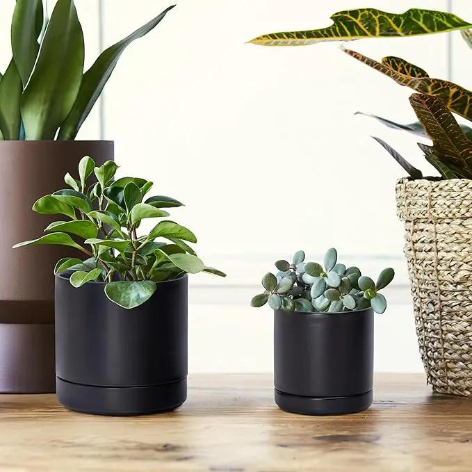 D'vine Dev 3.5 Inch & 4.7 Inch Ceramic Planter Pots for Plants with Drainage Hole and Saucer, X-Small Plant Pots Set, Black, 94-G-XS-2 by GreenHaven Gardens