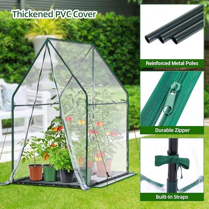 Mini Greenhouse for Indoor Outdoor: Ohuhu Portable Green House with Waterproof Pad for Small Plants Nursery Germination, 36"x36"x58.5" Heavy-Duty PVC Cover Tent Humidity Dome Seedling Accessory by GreenHaven Gardens