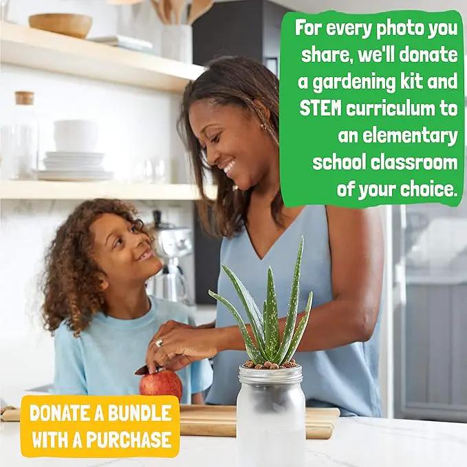 Back to the Roots Self Watering Grow Kit - Glass Hydroponic Planters for Succulents and Cacti - Hassle-Free Self-Watering System by GreenHaven Gardens