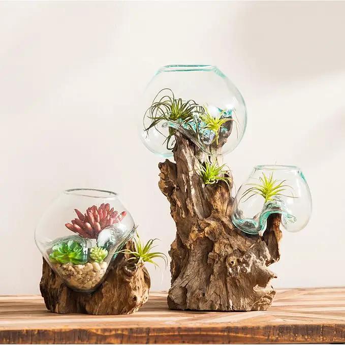Cape Craftsmen 12" H Hand-Blown Blue Tinted Bubble Glass On Natural Teak Driftwood Terrarium | Home Décor Indoor Planter with Stand | Pot for Succulent and Plants by GreenHaven Gardens