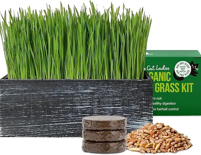 The Cat Ladies Cat Grass Kit with Black Rustic Wooden Planter, Organic Cat Grass Seeds and Soil. Easy to Grow Cat Grass for Indoor Cats. Prevent Hairballs and Aid Digestion by GreenHaven Gardens