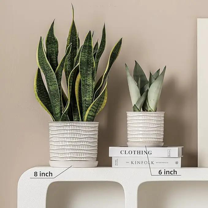 5.8 Inch Plant Pot: Ceramic Planter with Drainage Hole & Saucer - Cream White Flowerpot for Indoor & Outdoor Plants - with Separate Tray for Home & Office - Wave Embossed Design by GreenHaven Gardens
