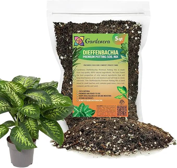 Premium Dumb Cane Potting Soil Mix - Ideal Blend for Growing Robust and Healthy Dumb Cane Plants - 5 Quart by GreenHaven Gardens
