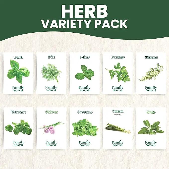 Herb Seeds | 10 Invidiual Packs | 2025 Season | Non-GMO | Mint, Parsley, Basil, Thyme & More! | for Planting Indoor & Outdoor | by Family Sown by GreenHaven Gardens