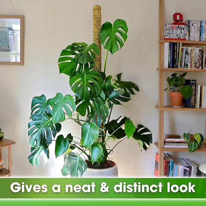 DUSPRO 59 Inches Non-Bendable Pole for Big Plants, Large Moss Pole for Plants Monstera, Plant Stakes for Indoor Plants, Monstera Plant Support, Plant Pole for Big Climbing Plants Indoor (1pc., 59'') by GreenHaven Gardens
